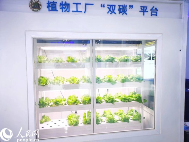 數(shù)字內(nèi)容新紀元 激發(fā)源頭創(chuàng)新，科技點亮精彩生活